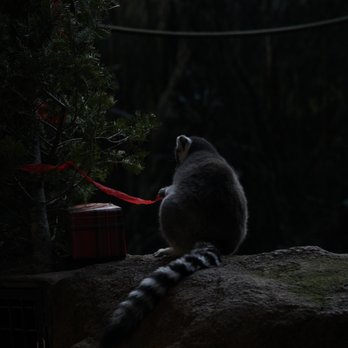 Toronto Zoo - Zoos Near Me - Toronto, Ontario