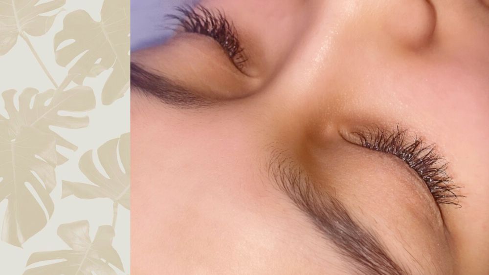 MADISON LASH LAB Updated April 2024 Temple, Texas Eyelash Service