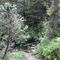 Granite Flat Campground - View of river behind campsite