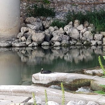 Confluence Park - Wildlife is all over. - Parks Near Me - San Antonio, Texas Confluence Park - Wildlife is all over. - Parks Near Me - San Antonio, Texas