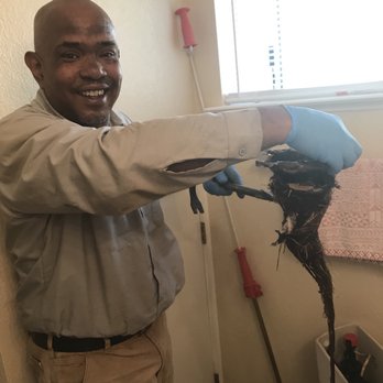 Sidney Chung Plumbing Service - Tree root blockage. Nice job Sid! - Plumbing Near Me Sidney Chung Plumbing Service - Tree root blockage. Nice job Sid! - Plumbing Near Me
