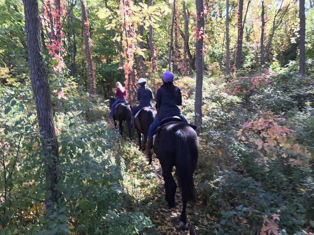 NIAGARA RIDING STABLES - Updated October 2025 - 17 Reviews - 471 Warner ...