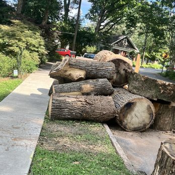 Gill Tree Care - Pieces of a legend...over 100ft tall and full of history - Tree Services Near Me - Decatur, Georgia