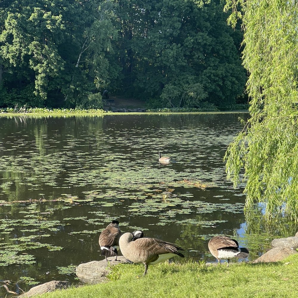 Van Cortlandt Park  - Parks Near Me - Bronx, New York