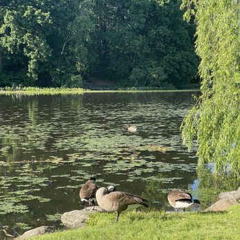 Van Cortlandt Park  - Parks Near Me - Bronx, New York