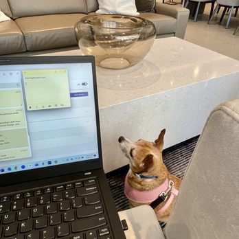 AC Hotel Durham - Working remotely from the lobby - Hotels Near Me - Durham, North Carolina AC Hotel Durham - Working remotely from the lobby - Hotels Near Me - Durham, North Carolina