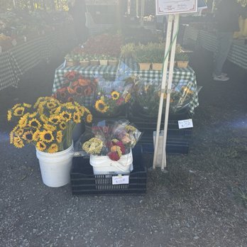 RVA BIG Market - Farmers Market Near Me - Richmond, Virginia RVA BIG Market - Farmers Market Near Me - Richmond, Virginia