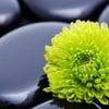 In Touch Massage gift card