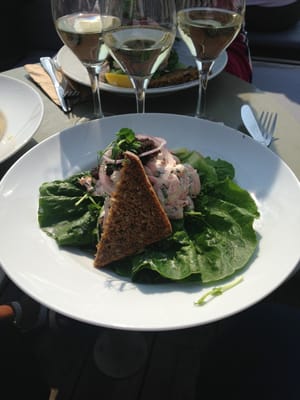 Mälarpaviljongen by null