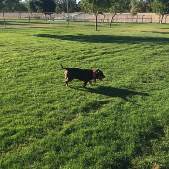 Barkin' Basin Dog Park - Dog Parks Near Me - Las Vegas, Nevada