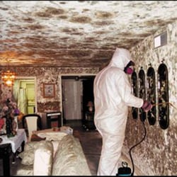 ServiceMaster Advantage - Lodi - Mold Remediation