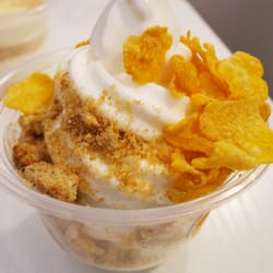 Familie Yogurt - regular size + 2 toppings