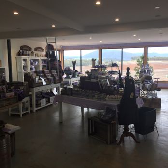 Bridestowe Lavender Estate - Beautiful - Farms Near Me - Nabowla, TAS