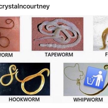 Crystal Cleansing Center - Intestinal parasites. - Colonics Near Me