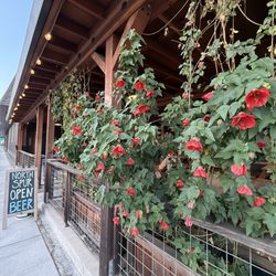 Northspur Brewing Company - Street view~ beautiful flowers.