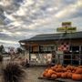 Photo of Martins Flowers & Shrubs