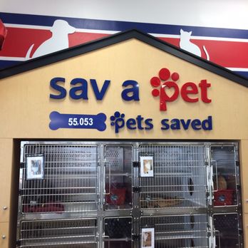 Petsense - Give a cat a forever home. - Pet Groomers Near Me - Athens, Georgia Petsense - Give a cat a forever home. - Pet Groomers Near Me - Athens, Georgia