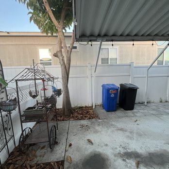 Orange County Tree Services - Pre job pic - Tree Services Near Me