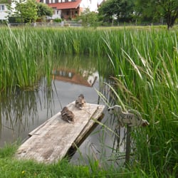 Alter Kanal