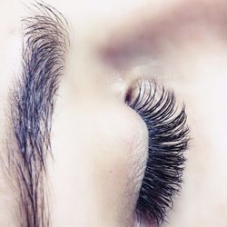 L. Lash Room - Perfect length and curl