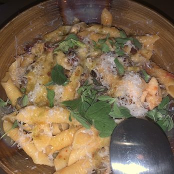 Pomp and Circumstance - Mushroom pasta - Italian Near Me - Brooklyn, New York Pomp and Circumstance - Mushroom pasta - Italian Near Me - Brooklyn, New York