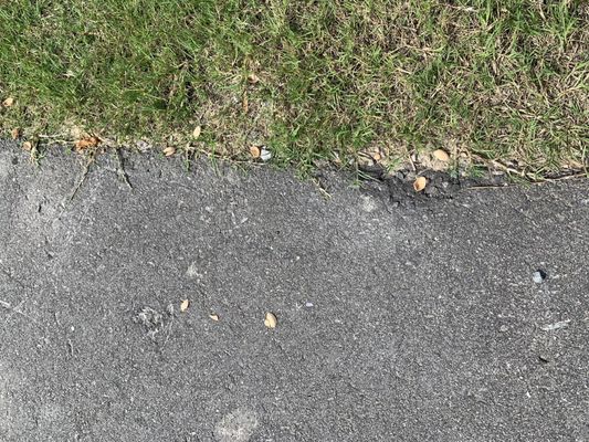 Coleman Worldwide Moving 715 Whitfield St Fayetteville Nc Furniture Movers Mapquest