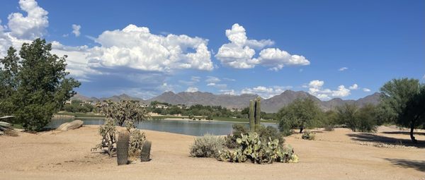 TPC Scottsdale by null