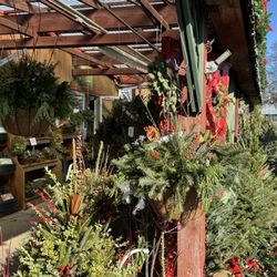 user provided Mostardi Nursery photo