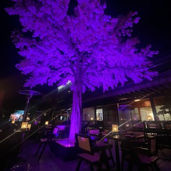 Sake House Malibu - Japanese Near Me - Malibu, California Sake House Malibu - Japanese Near Me - Malibu, California