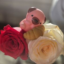 Tulum Taco & Tequila - Flowers they gave to the women during Valentine's Day and my daughter's toys LOL