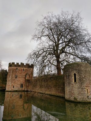 The Bishop's Palace & Gardens by null