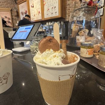Amorino Gelato - Desserts Near Me - Raleigh, North Carolina