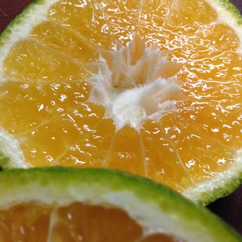Thumb Butte Distillery - Juicy juicy POMELO. Just the ticket for a great Vodka drink. - Distilleries Near Me - Prescott, Arizona Thumb Butte Distillery - Juicy juicy POMELO. Just the ticket for a great Vodka drink. - Distilleries Near Me - Prescott, Arizona