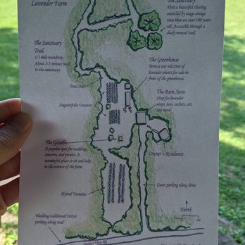 Willowfield Lavender Farm - Farms Near Me - Mooresville, Indiana