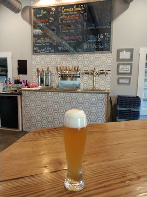 Seedz Brewery by null