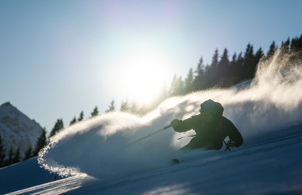 salty ski service by null
