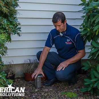 American Pest Solutions - Pest Control Near Me - Agawam, Massachusetts American Pest Solutions - Pest Control Near Me - Agawam, Massachusetts