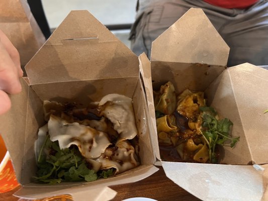 The Dumpling Lady by null