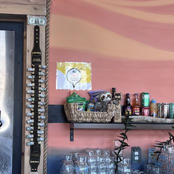 Beach Cat Brewing - South Paw - Spotted, Bellingham's new mascot - sloth at South Paw - Brewpubs Near Me - Bellingham, Washington