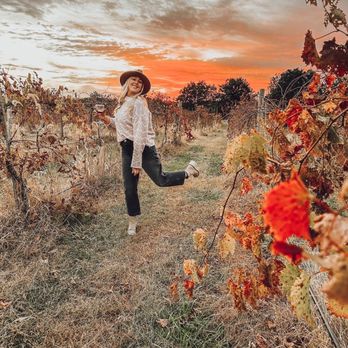 Ladoga Ridge Winery - Wineries Near Me - Smithville, Missouri