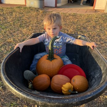Belvedere Plantation - After pumpkin picking - Festivals Near Me - Fredericksburg, Virginia