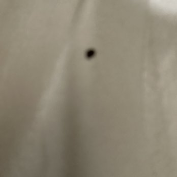 Quality Inn - Cigarette wholesome comforter, Dunn North Carolina Quality Inn - Hotels Near Me - Dunn, North Carolina