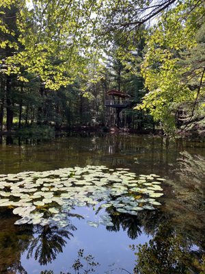 Dow Gardens and the Whiting Forest of Dow Gardens by null