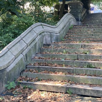 Morningside Park - Leaves that look like Fall is coming. 08/10/24 - Parks Near Me - New York, New York