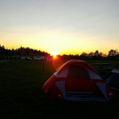 Cherry Springs State Park by null