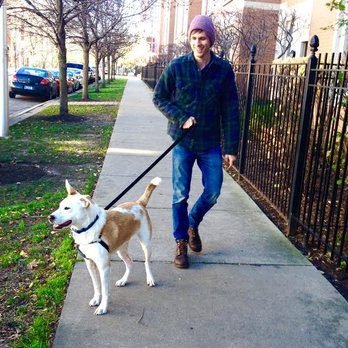 Smart Paws Chicago - Nothing like a long walk around Uptown in the fall! - Dog Walkers Near Me - Chicago, Illinois Smart Paws Chicago - Nothing like a long walk around Uptown in the fall! - Dog Walkers Near Me - Chicago, Illinois