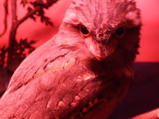 Cincinnati Zoo & Botanical Garden by null