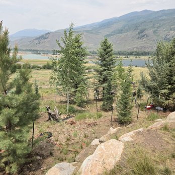 McCoy Tree Farm - Landscaping Near Me - Mccoy, Colorado McCoy Tree Farm - Landscaping Near Me - Mccoy, Colorado