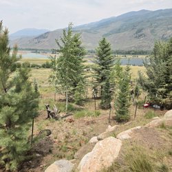 McCoy Tree Farm