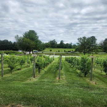 Petit Domaine - View from front of the venue - Wineries Near Me - Hillsboro, Virginia Petit Domaine - View from front of the venue - Wineries Near Me - Hillsboro, Virginia